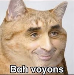 Size: 828x836 | Tagged: safe, bottom text, cat, cnews, face, face swap, french, french text, jvc, man, politic, smile, sticker, text, zemmour